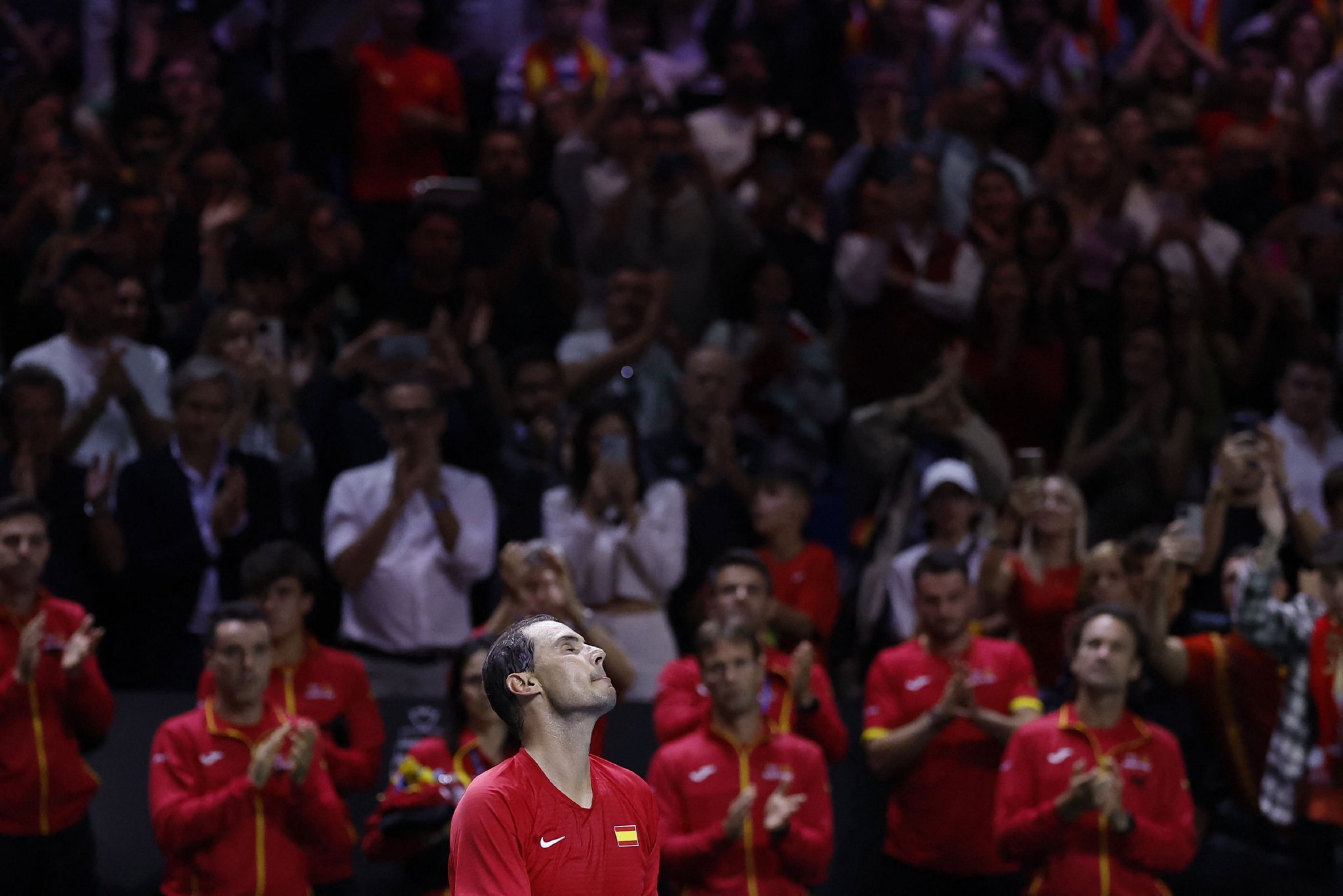 包含纳达尔迎来十二赛季出色发挥，湖人观众热烈欢呼！的词条-爱游戏